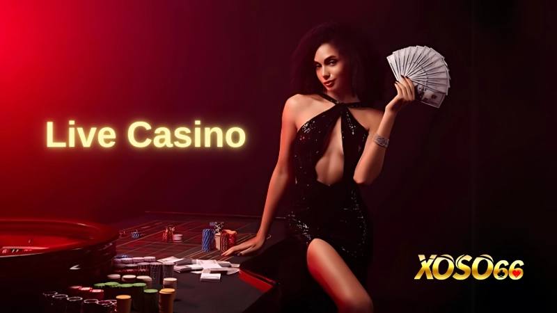 Sảnh Live casino sang trọng và cuốn hút