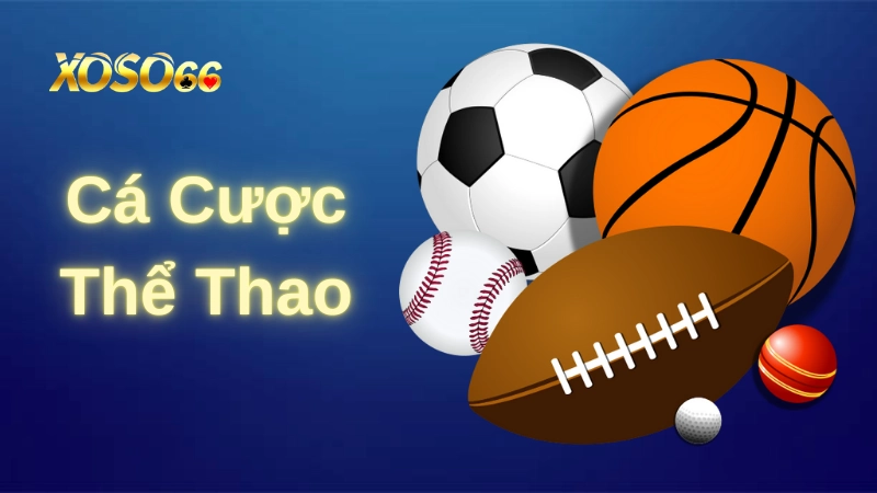 Cá cược thể thao - Bùng nổ đam mê cùng Xoso66